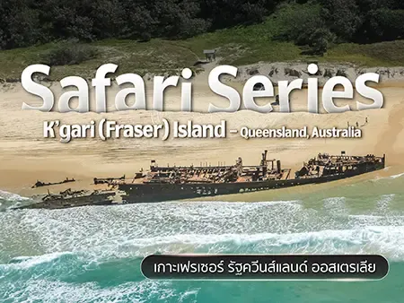 สำรวจเกาะเฟรเซอร์ รัฐควีนส์แลนด์ เกาะทรายมรดกโลกออสเตรเลีย
